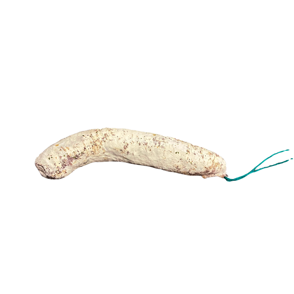 Accueil